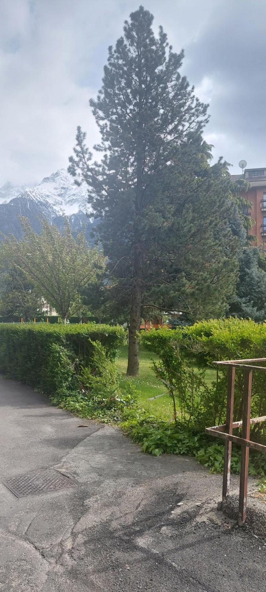 Il Mughetto Apartamento Aosta Exterior foto